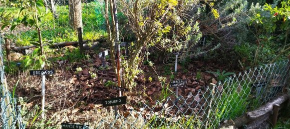 4 chambres Maison à Aradas, Portugal No. 106583 27