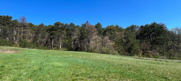 Земельный участок 1864м² в Баден, Австрия № 163928 8