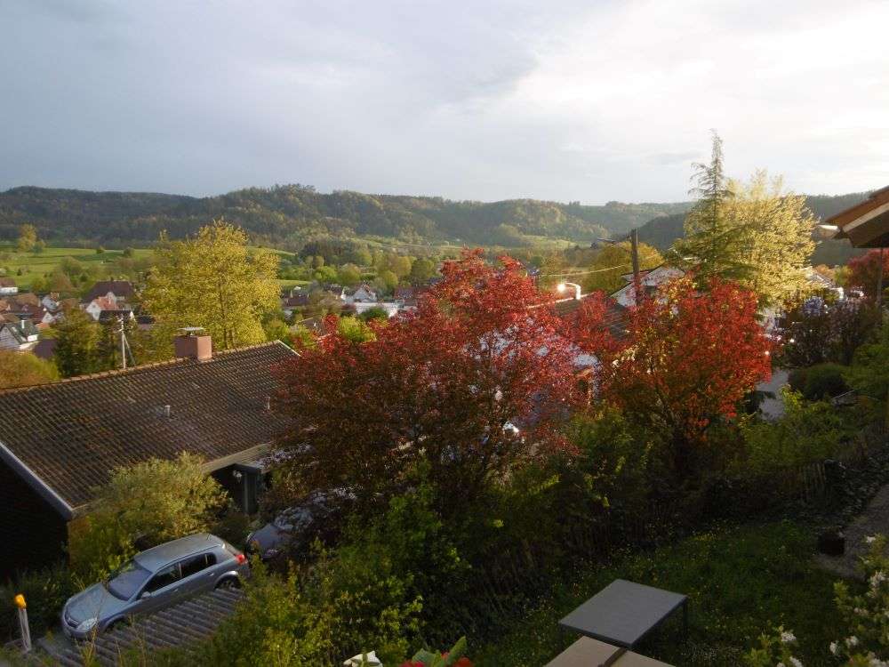 Квартира с 2 спальнями в Ремс-Мур, Германия № 38857