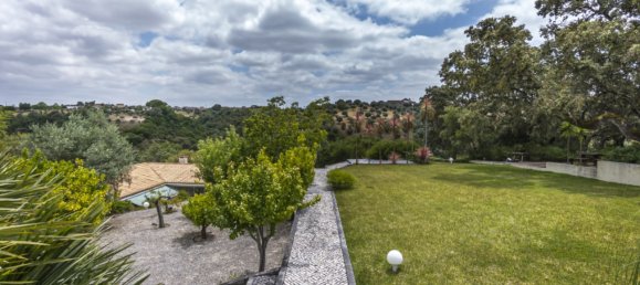 7 Schlafzimmer Villa in Santarem, Portugal, Nr. 127174 46