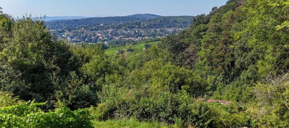 Casa de 6 habitaciónes en Dobling, Austria No. 99144 23