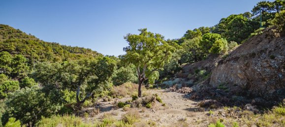 Terreno em Malaga, Spain N.º 130035 8