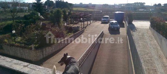 3 chambres Villa à Altamura, Italy No. 252175 6