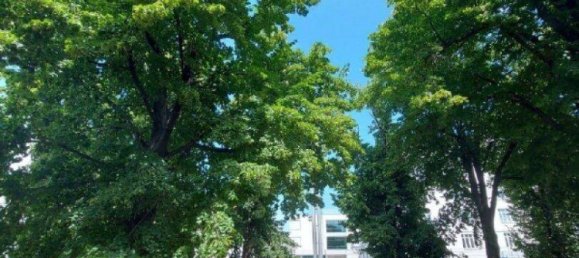 Apartamento de 3 divisões em Gross-Enzersdorf, Austria N.º 54436 2