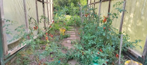 4 غرف نوم منزل في Arches, France رقم 92798 17