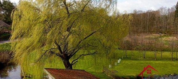 4 غرف نوم منزل في Arches, France رقم 92798 15