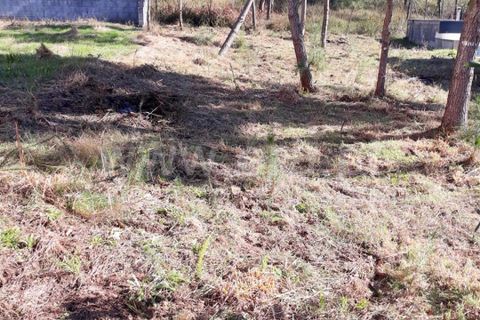 Terrain à Barcelos, Portugal No. 202258