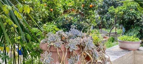 5 rooms Villa in Palermo, Italy No. 39286 5