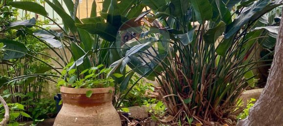 5 rooms Villa in Palermo, Italy No. 39286 42