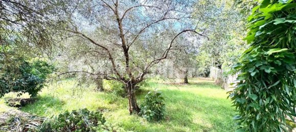 3 bedrooms House in Massa, Italy No. 349432 20