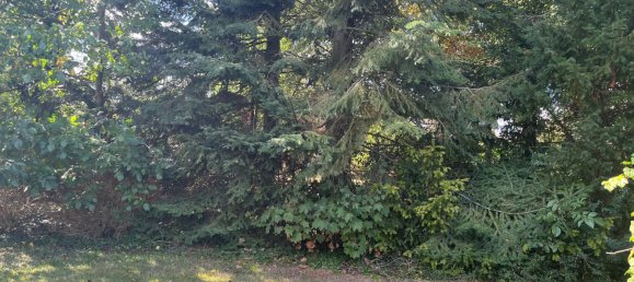  Land in Rotenburg, Germany No. 316550 3