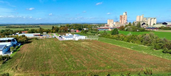 Land in Mannersdorf am Leithagebirge, Austria No. 134299 6