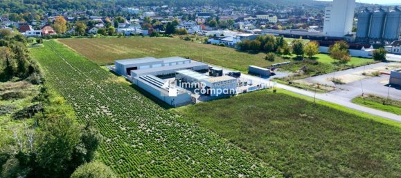 Land in Mannersdorf am Leithagebirge, Austria No. 134299 3