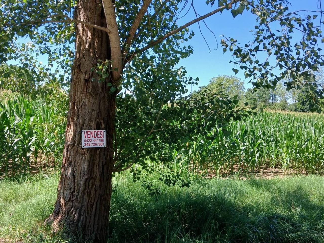 46159m² Land in Casale sul Sile, Italy No. 125130