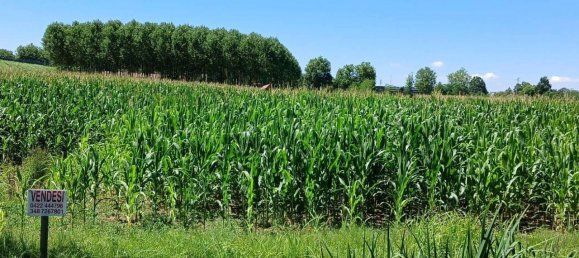 46159m² Land in Casale sul Sile, Italy No. 125130 5