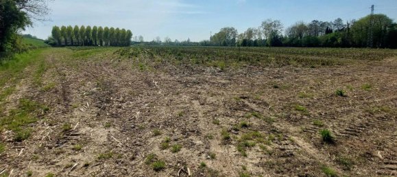 46159m² Land in Casale sul Sile, Italy No. 125130 2