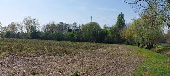 46159m² Land in Casale sul Sile, Italy No. 125130 6