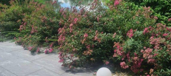 Studio in Leibnitz, Austria No. 23813 38