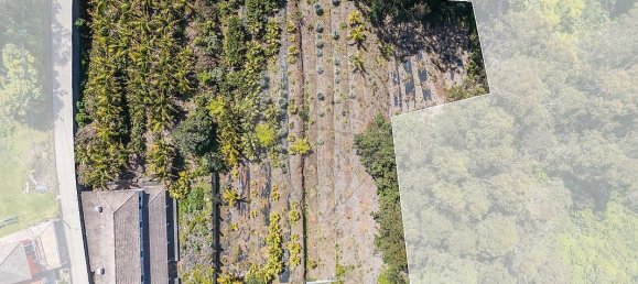 6 bedrooms House in Santana, Portugal No. 28499 7