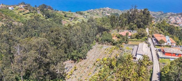 6 bedrooms House in Santana, Portugal No. 28499 4