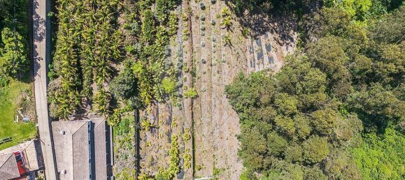 6 bedrooms House in Santana, Portugal No. 28499 9