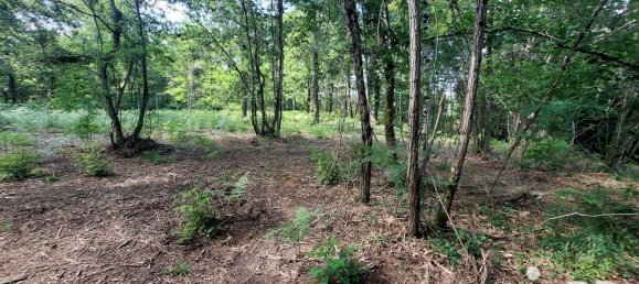 Grundstück in Saugnac-et-Cambran, France 4035m², Nr. 110086 7