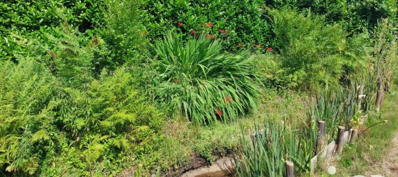 Grundstück in Saugnac-et-Cambran, France 4035m², Nr. 110086 4