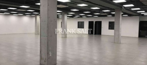 350m² Office in Balzan, Malta No. 12120 2