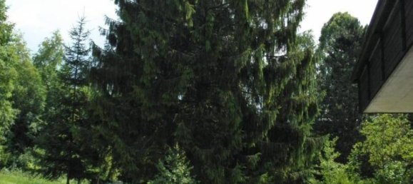  فندق في Scharnstein, Austria 1500متر مربع رقم 186728 36