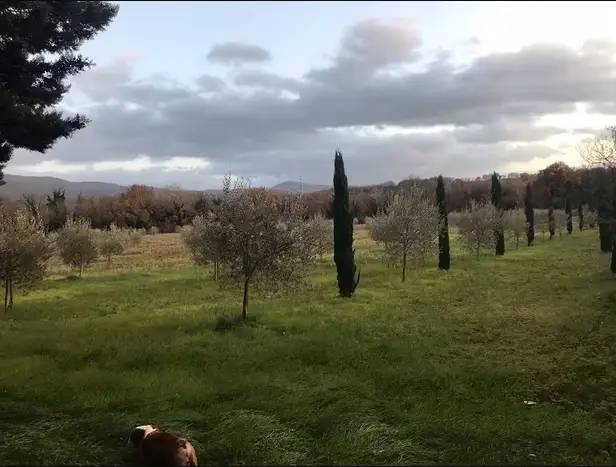 5 rooms House in Massa Martana, Italy No. 173518