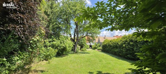 4-salle Maison à Klosterneuburg, Austria No. 173327 5