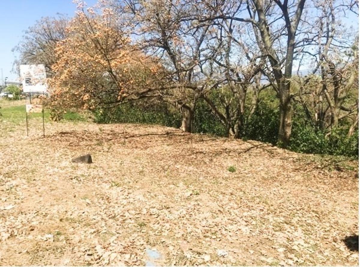 Land for sale in Santa Ana, Santa Ana , San José, Costa Rica № 1579
