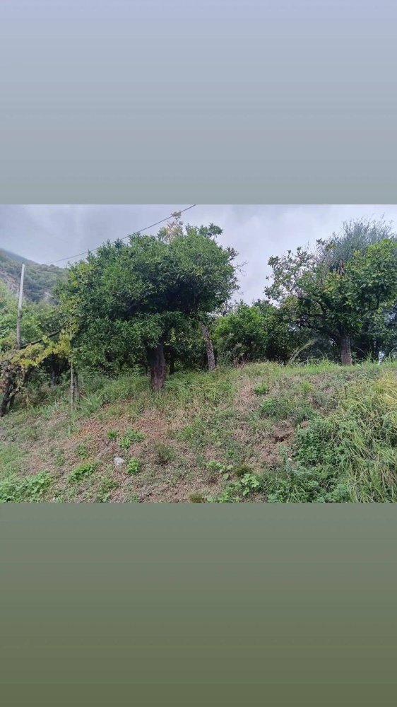 5172m² Land in Nocera Inferiore, Italy No. 128141