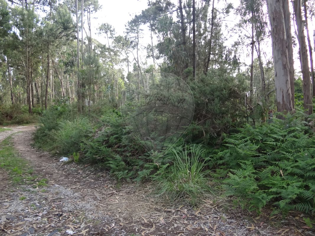  قطعة أرض في Anta, Portugal 1750متر مربع رقم 69561