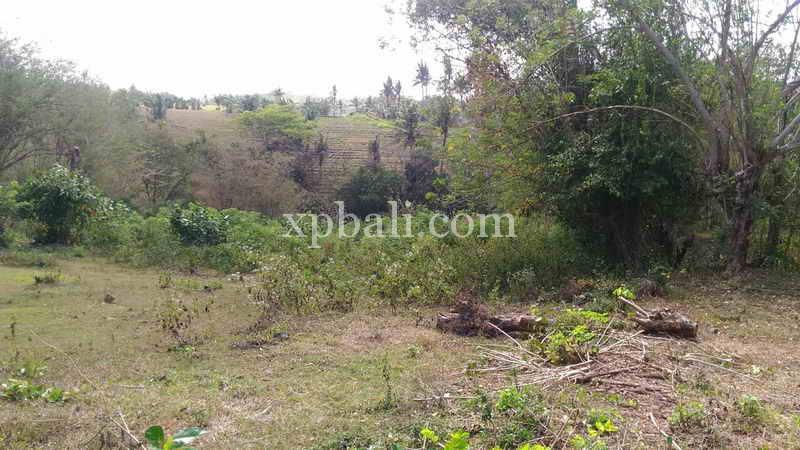  قطعة أرض في Tabanan, Indonesia 7900متر مربع رقم 3807