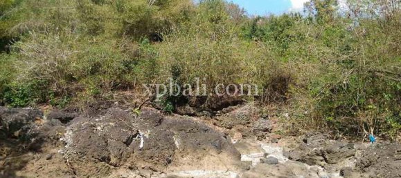  قطعة أرض في Tabanan, Indonesia 7900متر مربع رقم 3807 4