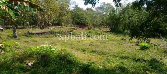  قطعة أرض في Tabanan, Indonesia 7900متر مربع رقم 3807 7