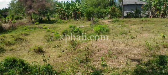  قطعة أرض في Tabanan, Indonesia 7900متر مربع رقم 3807 2