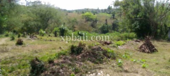  قطعة أرض في Tabanan, Indonesia 7900متر مربع رقم 3807 9
