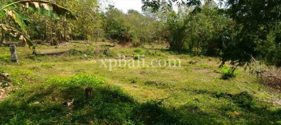  قطعة أرض في Tabanan, Indonesia 7900متر مربع رقم 3807 6