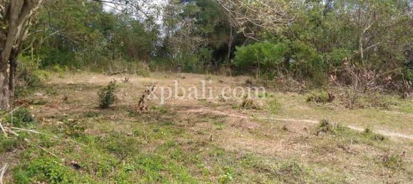  قطعة أرض في Tabanan, Indonesia 7900متر مربع رقم 3807 5