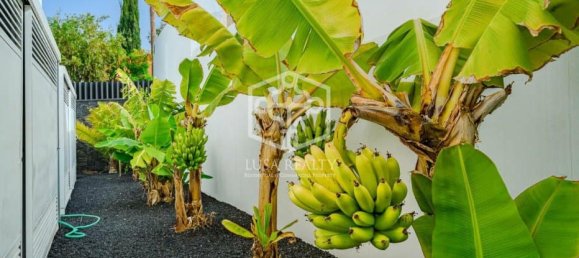 4 chambres Villa à Adeje, Spain No. 16424 23