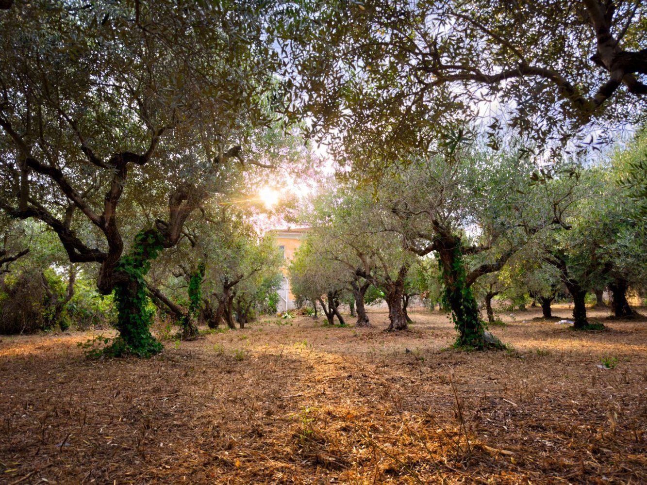 Casa de 6 divisões em Miglianico, Italy N.º 256933