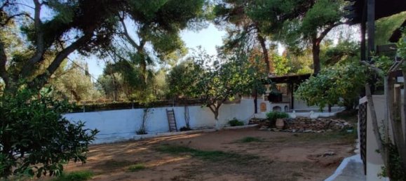 3 bedrooms Commercial property in Marathon, Greece No. 3929 15