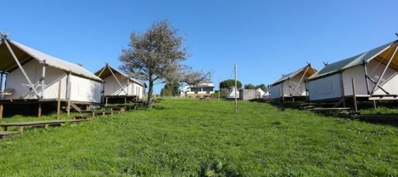 8 bedrooms Villa in Sintra, Portugal No. 168489 16