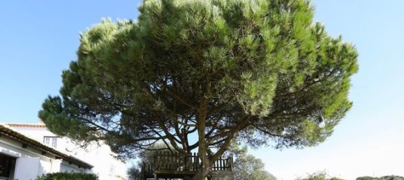 8 bedrooms Villa in Sintra, Portugal No. 168489 19