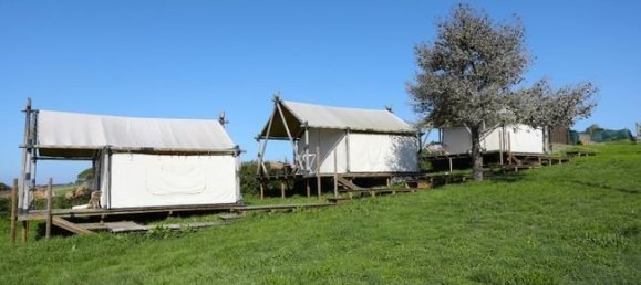 8 bedrooms Villa in Sintra, Portugal No. 168489 14