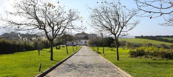 8 bedrooms Villa in Sintra, Portugal No. 168489 32