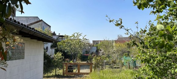 3 bedrooms Townhouse in Rhein-Neckar-Kreis, Germany No. 36732 22