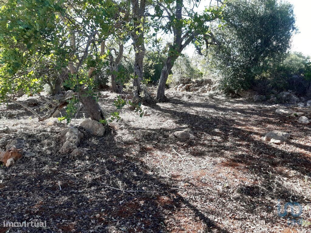 6870m² Land in Alte, Portugal No. 207000